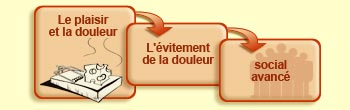 L'évitement de la douleur