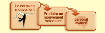 Le corps en mouvement