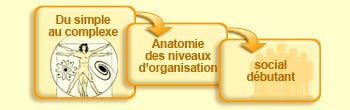 Du simple au complexe