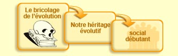 Le bricolage de l'évolution