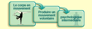 Le corps en mouvement