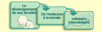 Le développement de nos facultés