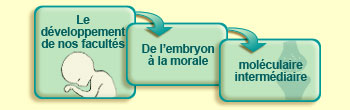 Le développement de nos facultés